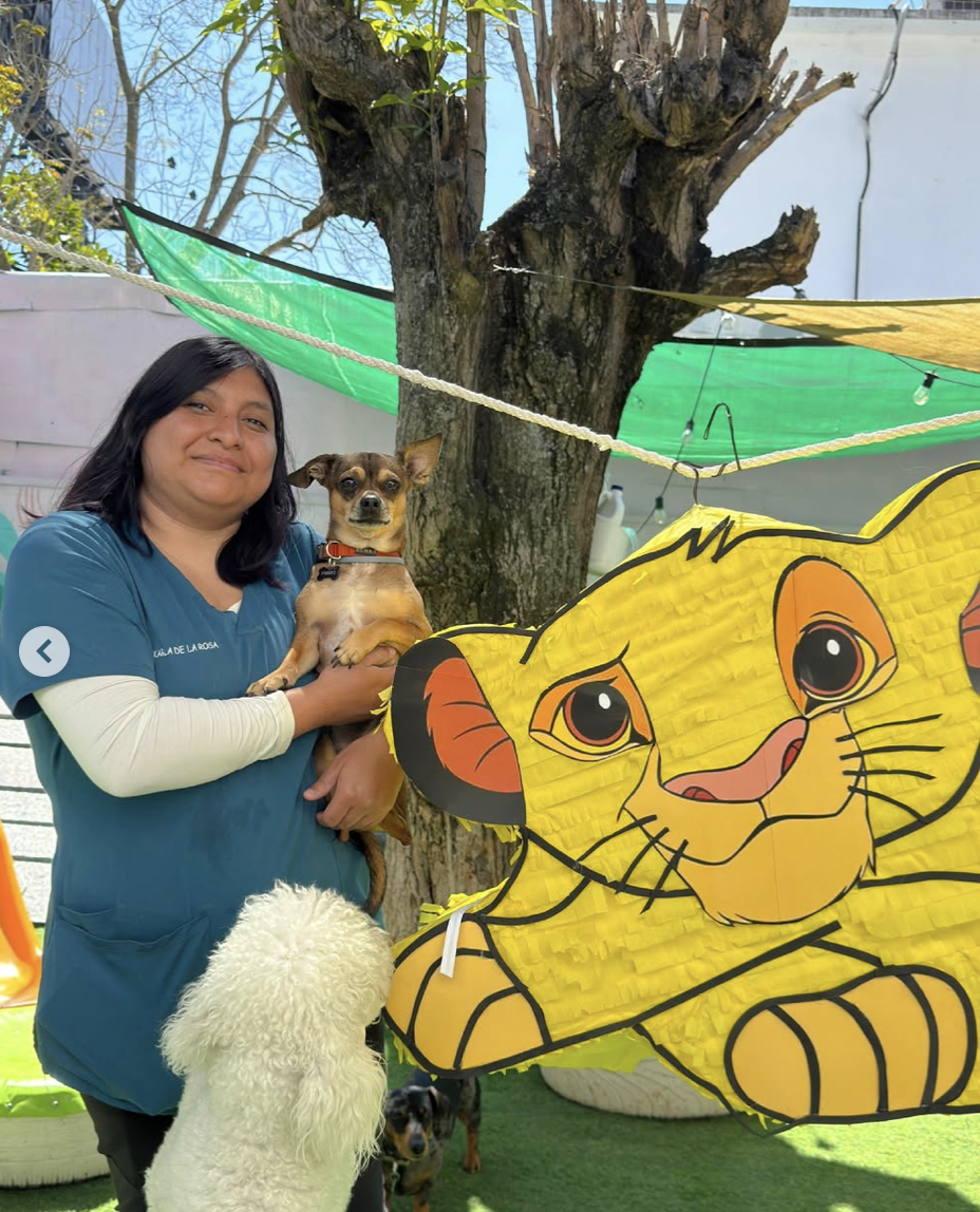 Equipo WUF Doggy Daycare con los perritos