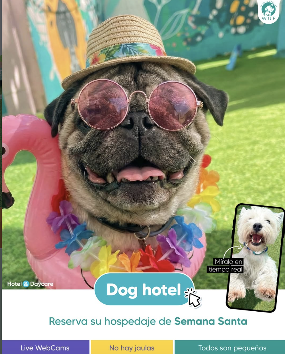 Hotel canino WUF